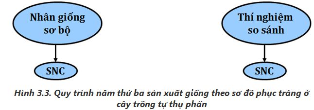 lý thuyết công nghệ 10