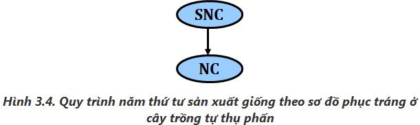 lý thuyết công nghệ 10