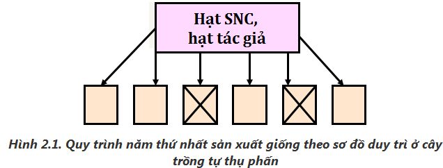 lý thuyết công nghệ 10