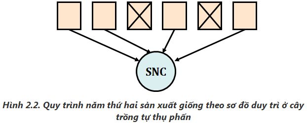 lý thuyết công nghệ 10