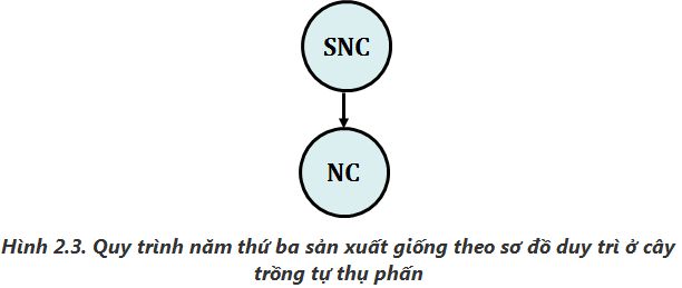 lý thuyết công nghệ 10