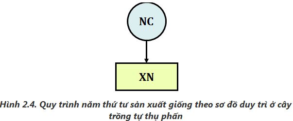 lý thuyết công nghệ 10