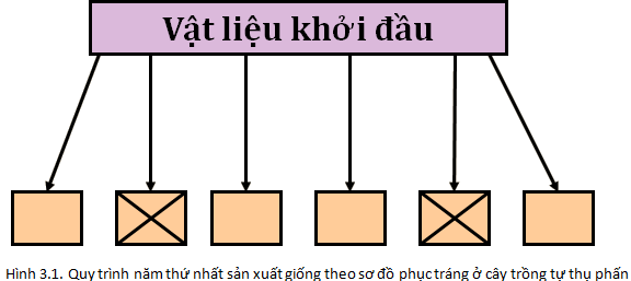 lý thuyết công nghệ 10