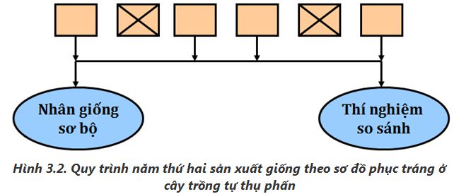 lý thuyết công nghệ 10