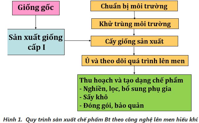 lý thuyết công nghệ 10