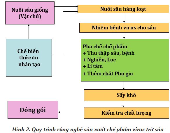 lý thuyết công nghệ 10