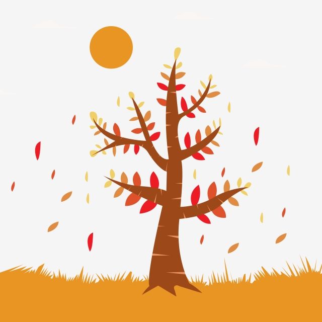 Ôn hè lớp 5 lên lớp 6 môn Anh