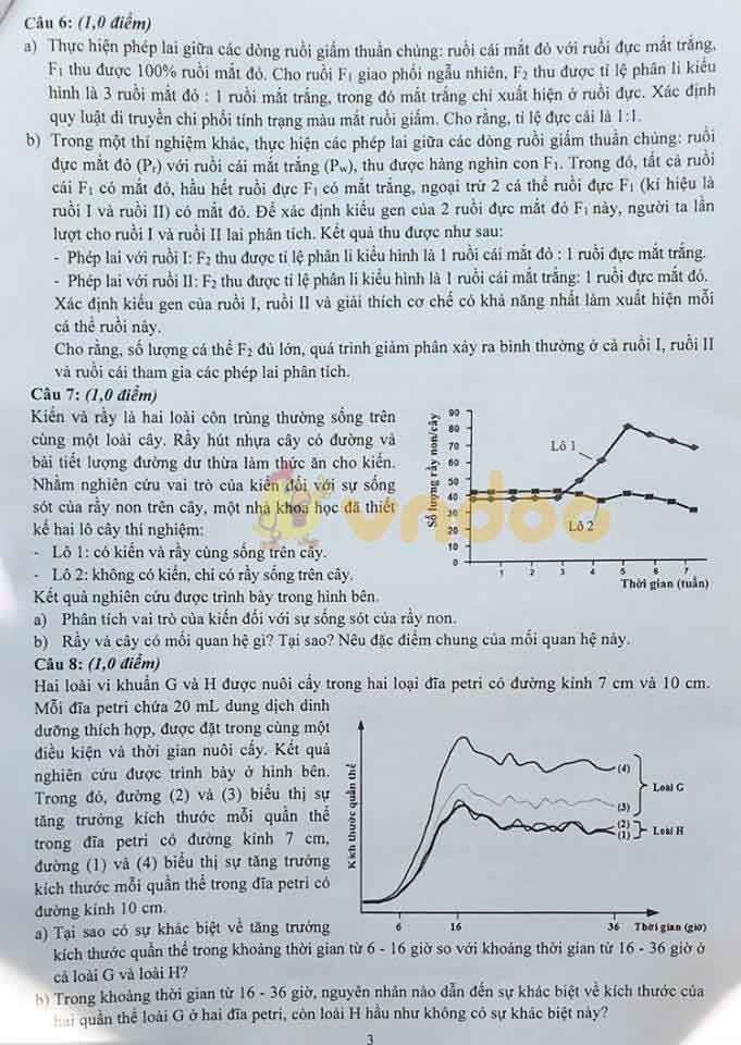 Đề thi tuyển sinh vào lớp 10 môn Sinh năm 2020 Trường THPT Chuyên KHTN