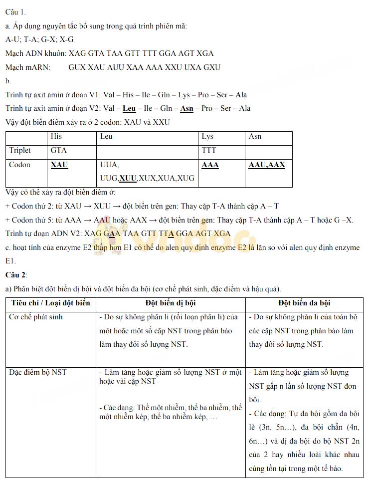 Đề thi tuyển sinh vào lớp 10 môn Sinh năm 2020 Trường THPT Chuyên KHTN