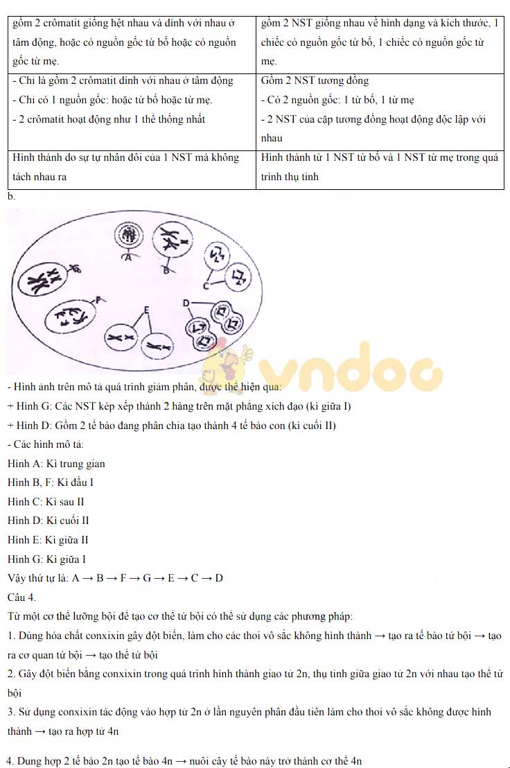 Đề thi tuyển sinh vào lớp 10 môn Sinh năm 2020 Trường THPT Chuyên KHTN