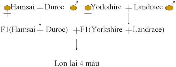 lý thuyết công nghệ 10