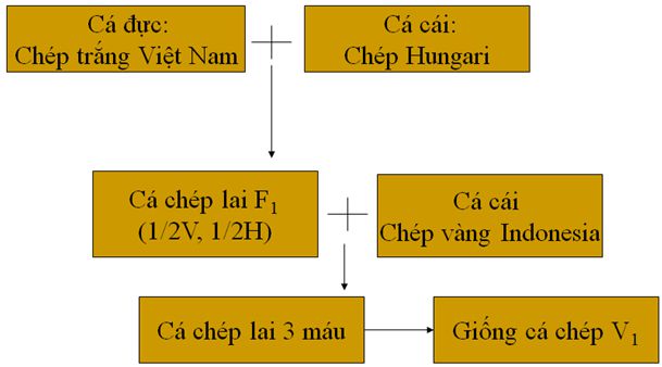lý thuyết công nghệ 10