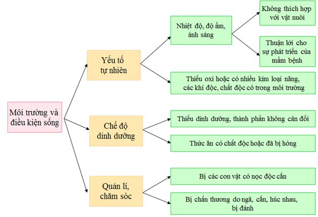 lý thuyết môn công nghệ 10