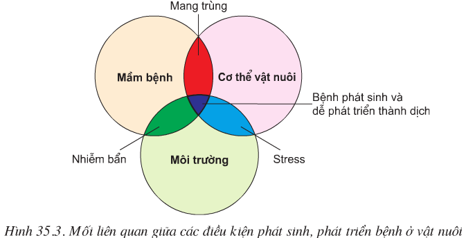lý thuyết môn công nghệ 10