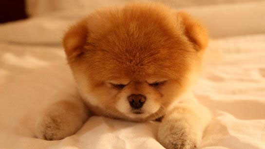 Trắc nghiệm tính cách