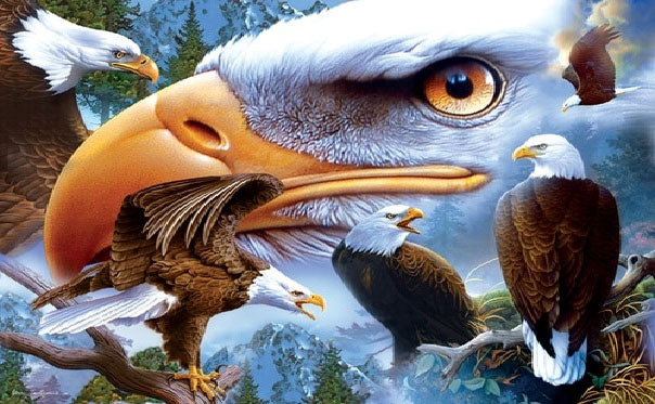 Bạn là chúa tể nào của thế giới hoang dã