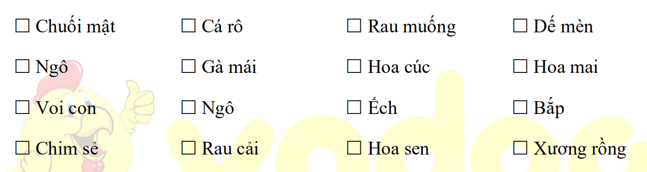 Bộ đề ôn hè lớp 1 lên lớp 2 môn Tiếng Việt