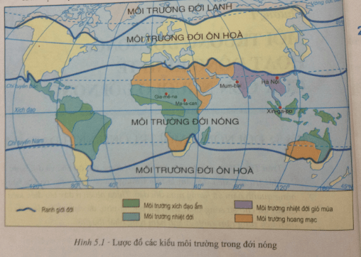 Giải bài tập SGK Địa lý lớp 7 bài 7: Môi trường nhiệt đới gió mùa