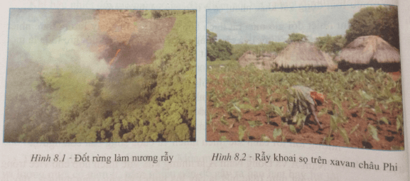 Giải bài tập Địa lí 7