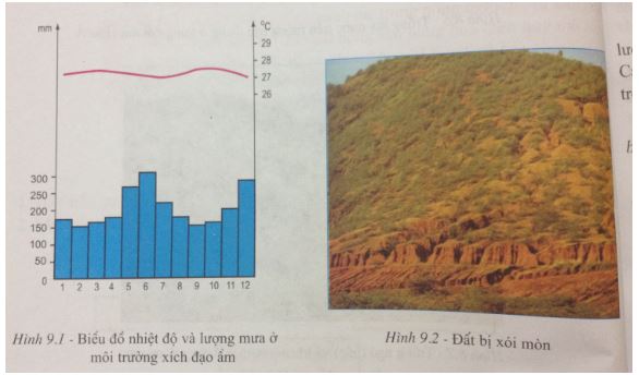 Giải bài tập Địa lí 7
