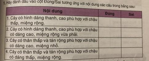  Trang trí nhà ở bằng hoa và cây cảnh VNEN