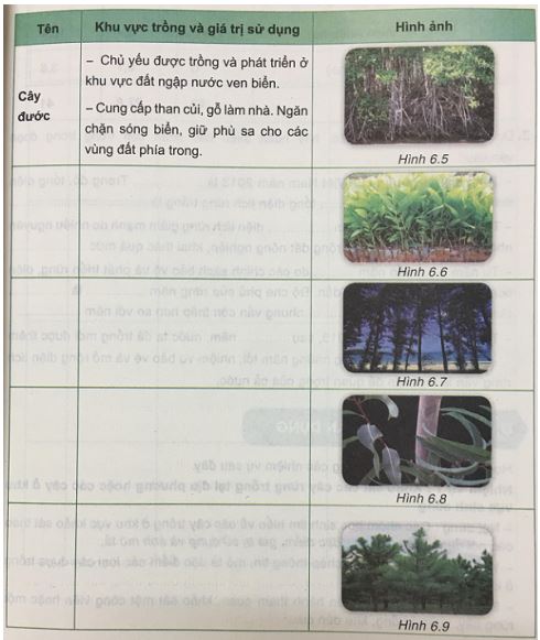 Giải VNEN Công nghệ 7