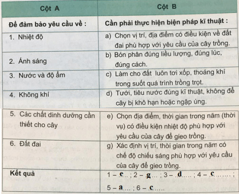 Vai trò, đặc điểm, các yếu tố ảnh hưởng và các phương thức trồng trọt