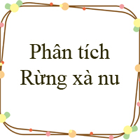 Phân tích Rừng xà nu