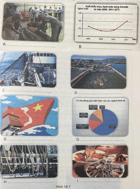 bài 12: Khai thác và bảo vệ nguồn lợi hải sản