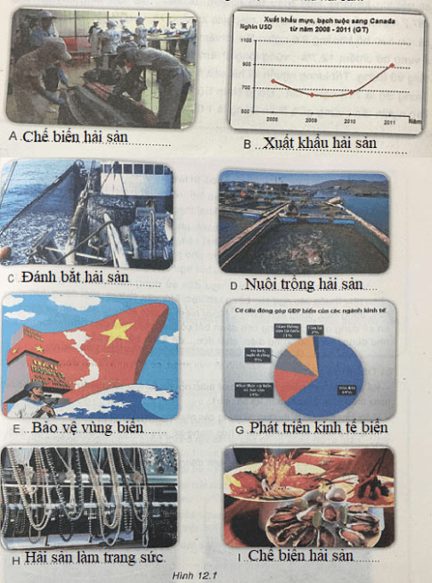 bài 12: Khai thác và bảo vệ nguồn lợi hải sản