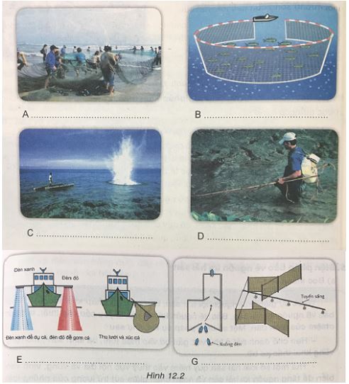 bài 12: Khai thác và bảo vệ nguồn lợi hải sản