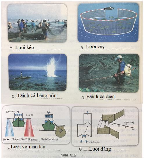 bài 12: Khai thác và bảo vệ nguồn lợi hải sản