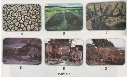 Giải VNEN Công nghệ 7