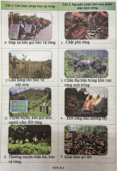 Giải VNEN Công nghệ 7