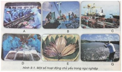 Giải VNEN Công nghệ 7