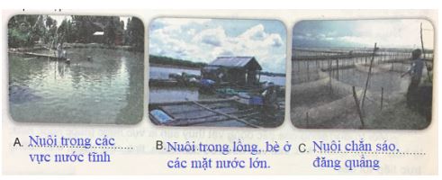 Giải VNEN Công nghệ 7