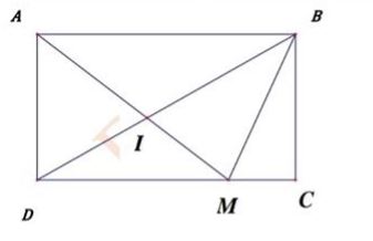 Đề thi vào lớp 6 trường Amsterdam