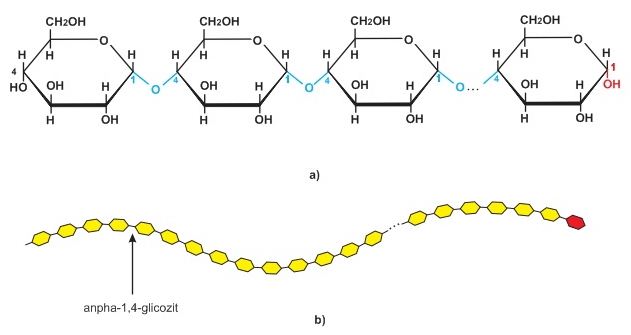 lý thuyết sinh học 10