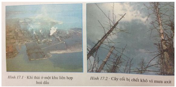 Giải bài tập SGK Địa lý lớp 7 bài 17