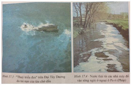 Giải bài tập SGK Địa lý lớp 7 bài 17