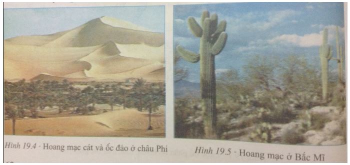 Giải bài tập Địa lí 7