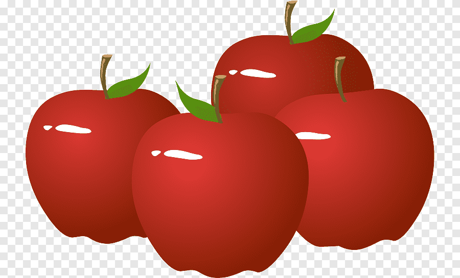 Ôn hè lớp 2 lên lớp 3 môn Anh