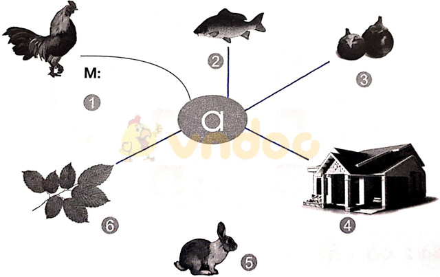 Giải vở bài tập Tiếng Việt 1 Cánh Diều Bài 1: a, c