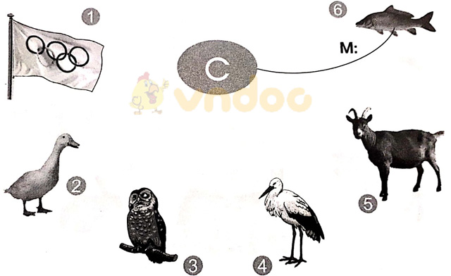 Giải vở bài tập Tiếng Việt 1 Cánh Diều Bài 1: a, c