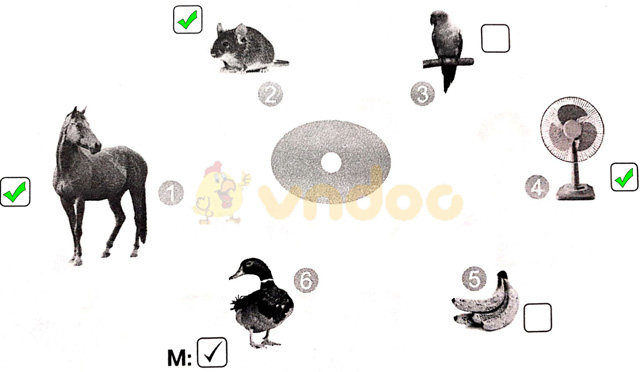 Giải vở bài tập Tiếng Việt 1 Cánh Diều Bài 5: cỏ, cọ