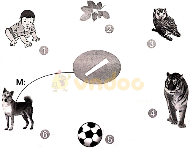 Giải vở bài tập Tiếng Việt 1 Cánh Diều Bài 2: cà, cá