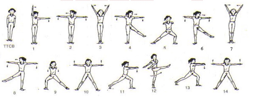 Bài thể dục phát triển chung lớp 9