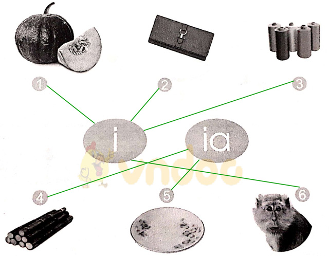 Giải vở bài tập Tiếng Việt 1 Cánh Diều Bài 13: i, ia