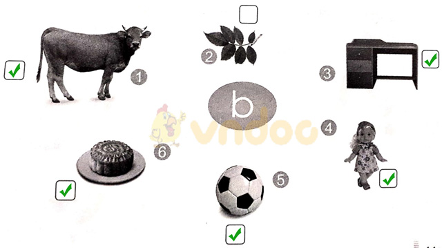 Giải vở bài tập Tiếng Việt 1 Cánh Diều Bài 11: b, bễ