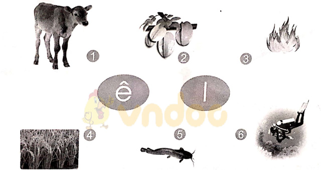 Giải vở bài tập Tiếng Việt 1 Cánh Diều Bài 10: ê, l